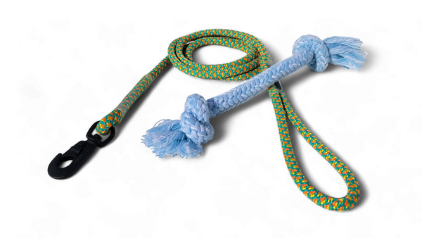 Pet Leash 6-Foot and Dog Pull Toy Combo