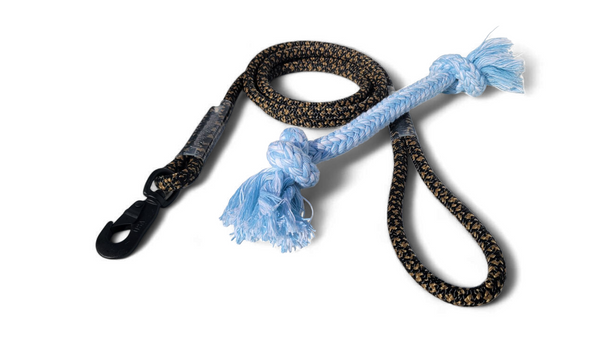 Pet Leash 6-Foot and Dog Pull Toy Combo