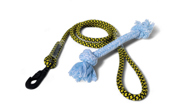 Pet Leash 6-Foot and Dog Pull Toy Combo