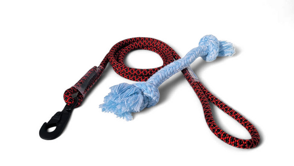 Pet Leash 6-Foot and Dog Pull Toy Combo