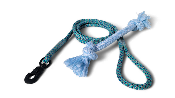 Pet Leash 6-Foot and Dog Pull Toy Combo