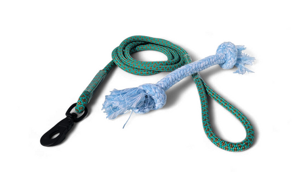 Pet Leash 6-Foot and Dog Pull Toy Combo