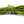 Load image into Gallery viewer, Low Stretch Double Braid Arborist Bull Rope