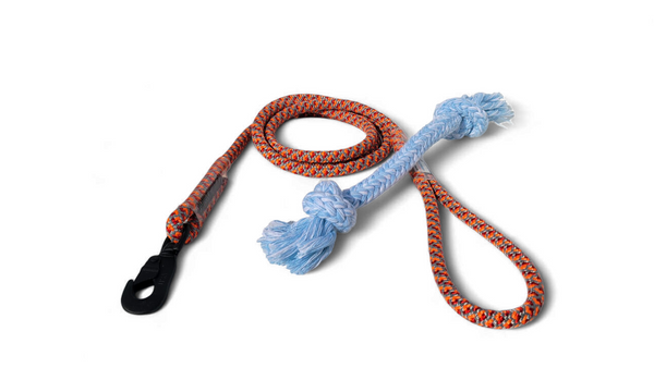 Pet Leash 6-Foot and Dog Pull Toy Combo