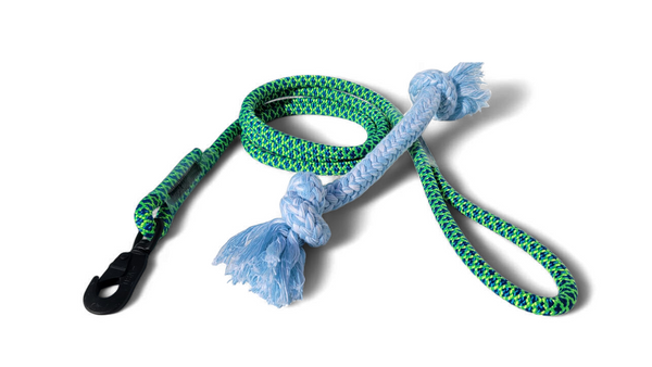 Pet Leash 6-Foot and Dog Pull Toy Combo